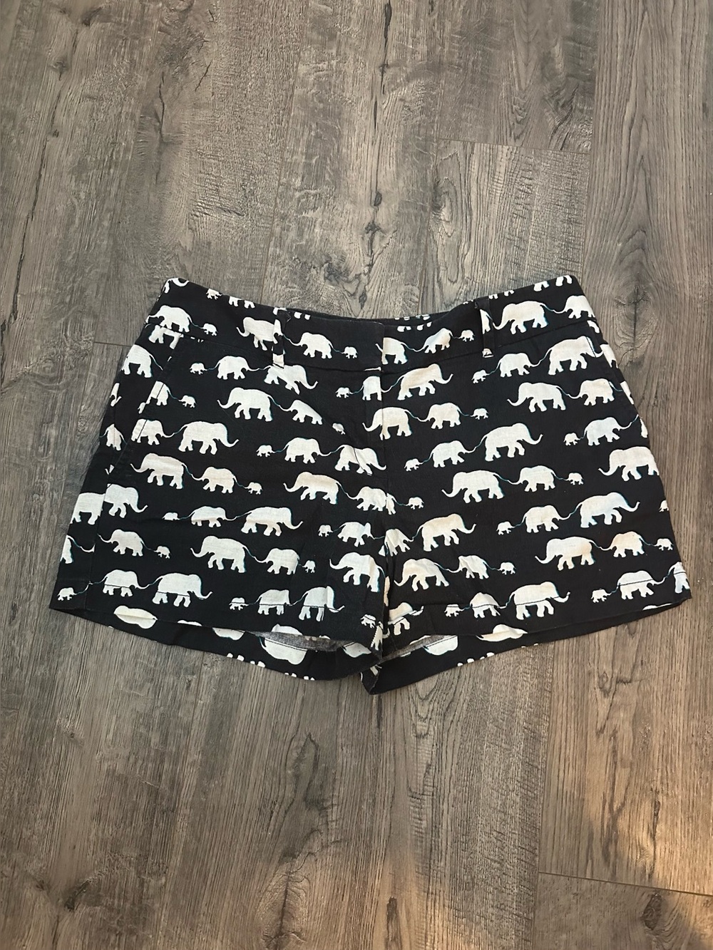 LOFT Elephant Riviera Shorts Size 4